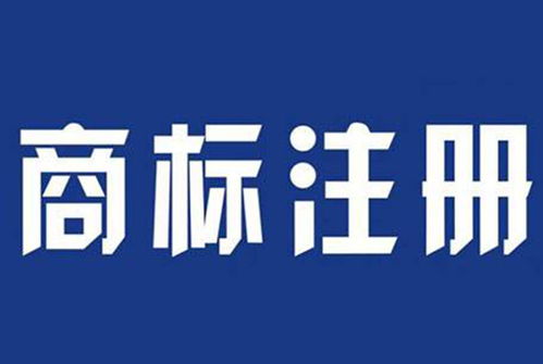 駐馬店地區食品注冊商標與計算機技術培訓概述