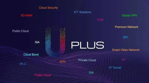 中國聯通國際公司榮獲2020年度中國IDC產業海外優秀數據中心服務商獎